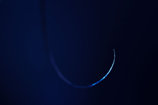 9323607